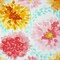 Richloom Solarium FLORENCIA BLOOM - Indoor/Outdoor Fabric Sale